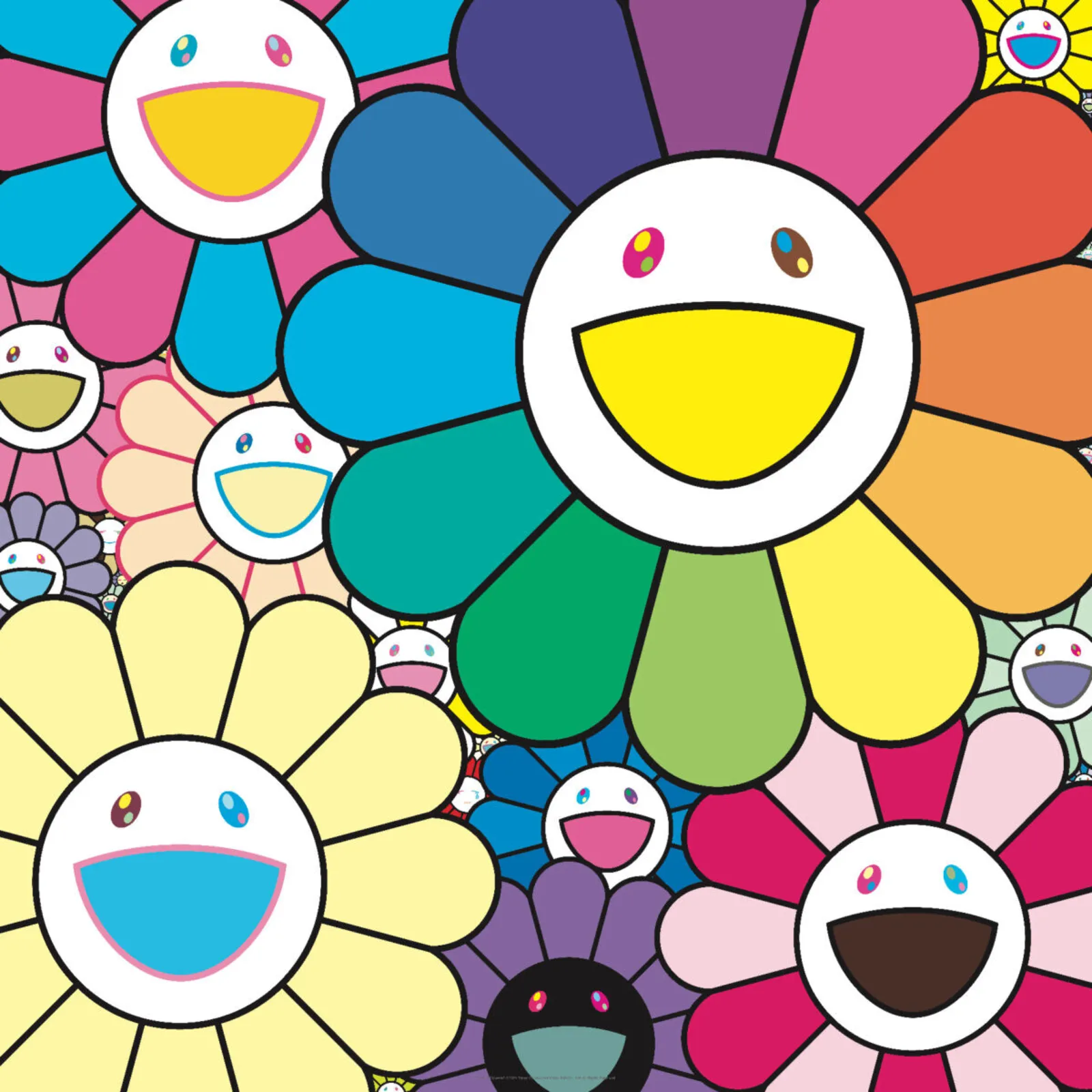 Current exhibition - Takashi Murakami flowers
